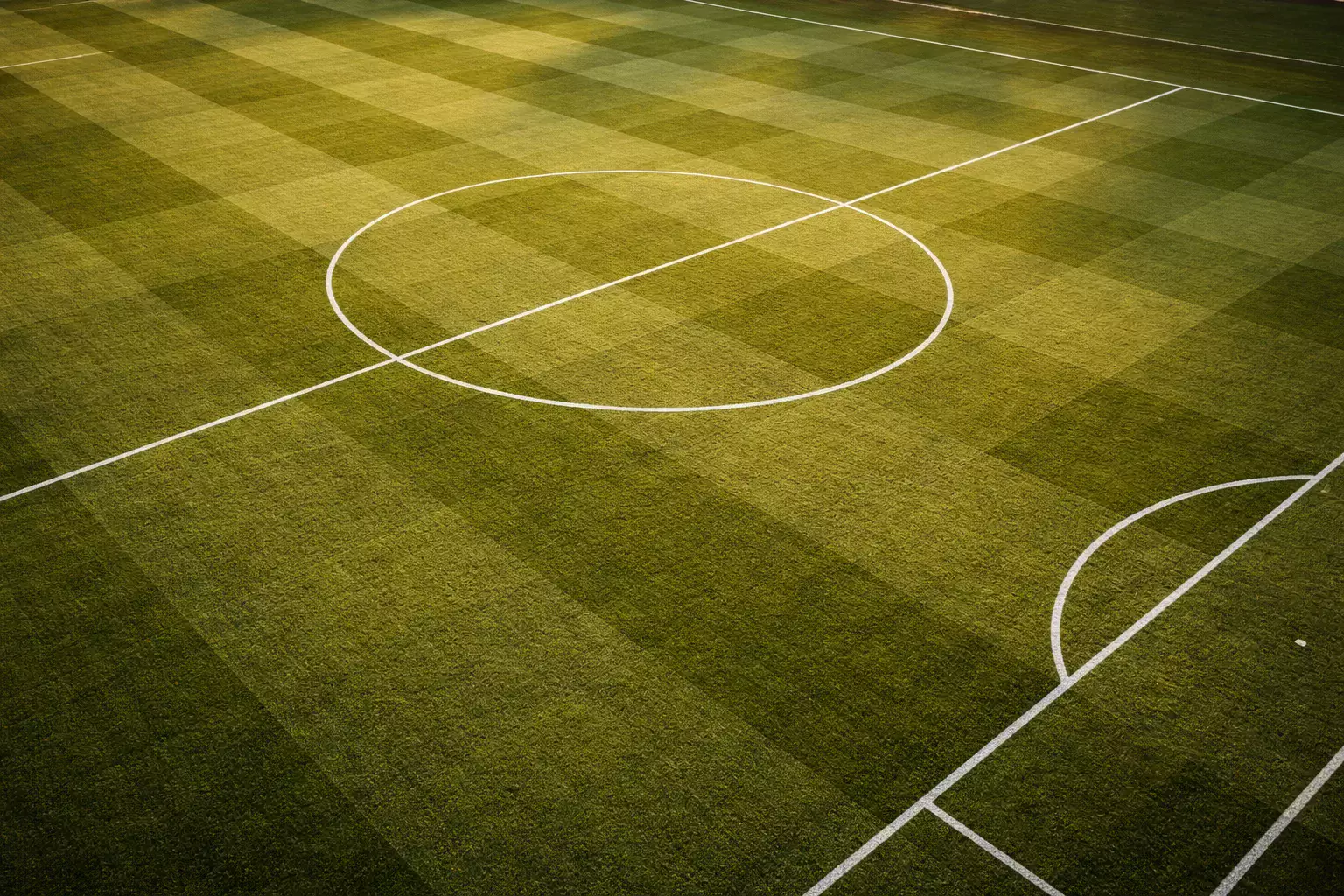 Vista de un campo de fútbol con césped natural y líneas marcadas